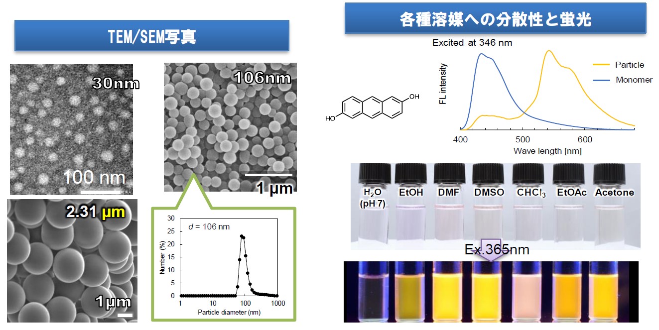 高分散性・高安定性オール有機蛍光ナノ粒子 : SEEDS Kumamoto