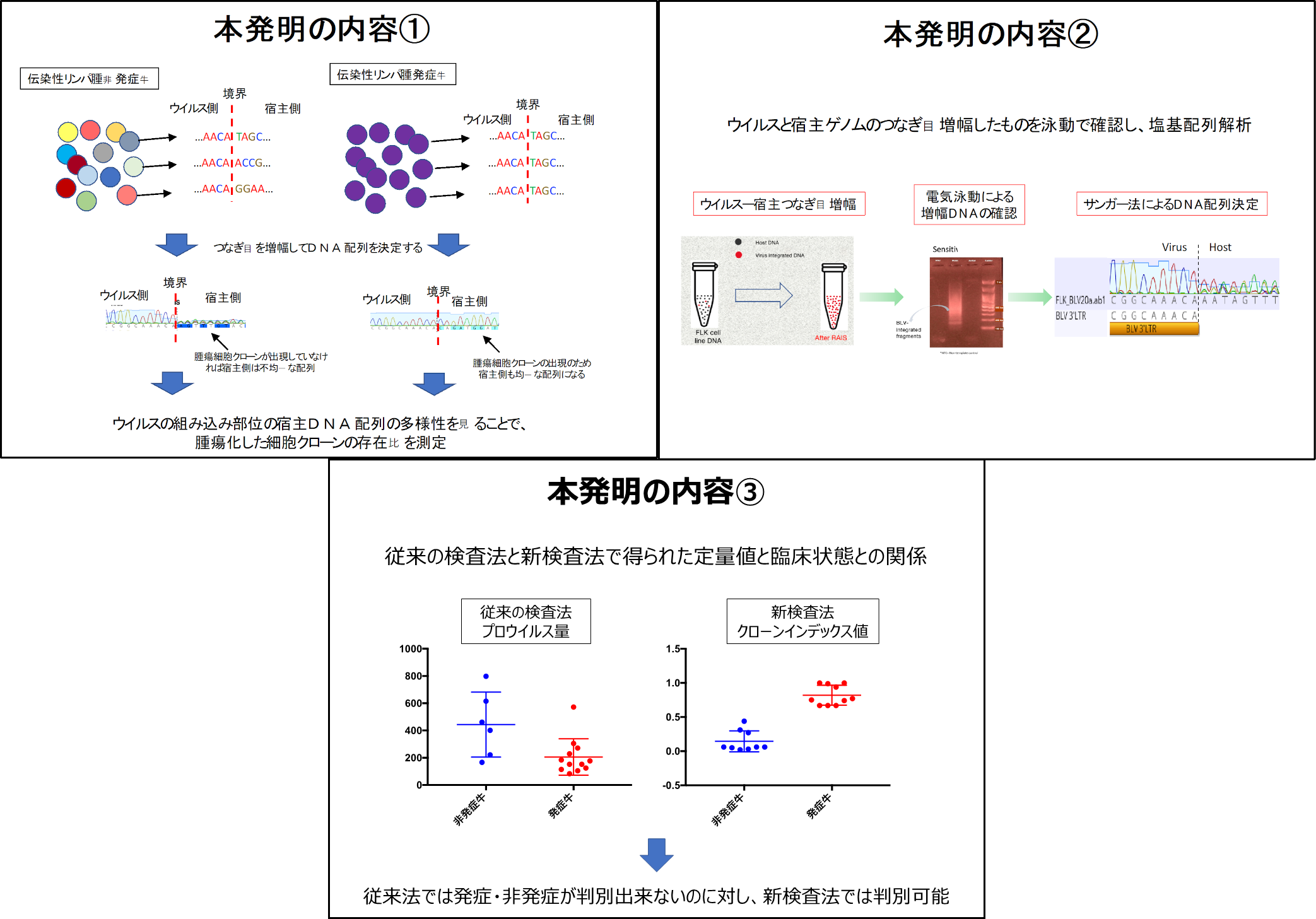牛伝染性リンパ腫の簡便かつ迅速な病勢検査法 : SEEDS Kumamoto